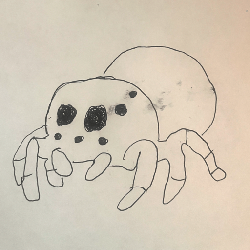 Spooder app icon — a hand-drawn spider